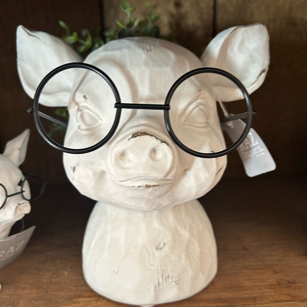 Pig with glasses